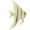 download Angelfish clipart image with 0 hue color