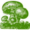 download Mushrooms clipart image with 45 hue color