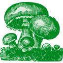 download Mushrooms clipart image with 90 hue color