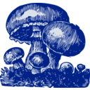 download Mushrooms clipart image with 180 hue color