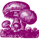 download Mushrooms clipart image with 270 hue color