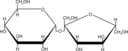 Sucrose Sugar