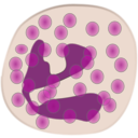 download Neutrophil clipart image with 45 hue color