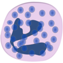 download Neutrophil clipart image with 315 hue color