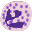 download Neutrophil clipart image with 0 hue color