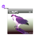 download Osprey clipart image with 270 hue color