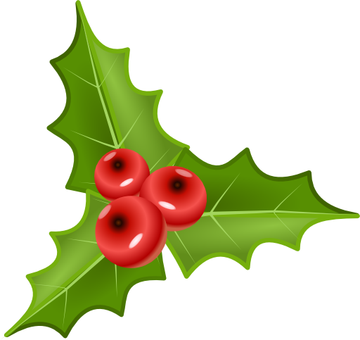 Houx Holly