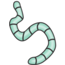 download Earthworms clipart image with 135 hue color