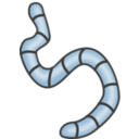 download Earthworms clipart image with 180 hue color