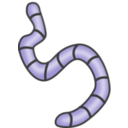 download Earthworms clipart image with 225 hue color