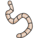 download Earthworms clipart image with 0 hue color