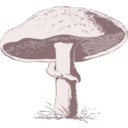 download Mushroom clipart image with 315 hue color