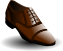 Brown Shoes