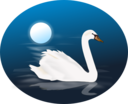 Swan