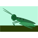 download Grasshopper clipart image with 45 hue color