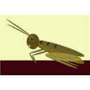 download Grasshopper clipart image with 315 hue color