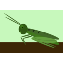 download Grasshopper clipart image with 0 hue color