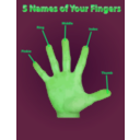 download Finger Names Poster clipart image with 90 hue color