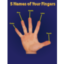 download Finger Names Poster clipart image with 0 hue color