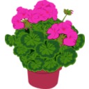 download Geramium In A Pot clipart image with 315 hue color