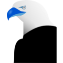 download Eagle clipart image with 180 hue color