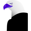 download Eagle clipart image with 225 hue color