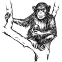 download Grayscale Chimpanzee clipart image with 135 hue color