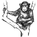 download Grayscale Chimpanzee clipart image with 0 hue color