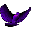 download Red Bird clipart image with 270 hue color