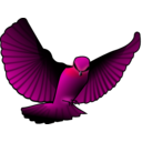download Red Bird clipart image with 315 hue color