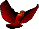 Red Bird