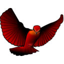 download Red Bird clipart image with 0 hue color