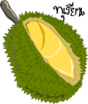 Durian Thai Fruit