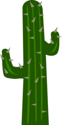 Cactus2