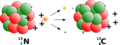 Beta Decay