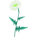 download Daisy clipart image with 45 hue color