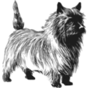 download Cairn Terrier clipart image with 135 hue color