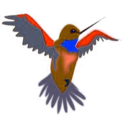 download Remix Hummingbird clipart image with 180 hue color
