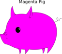 Magenta Pig