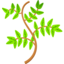 download Leaves And Branches clipart image with 0 hue color