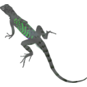 download Az Lizard clipart image with 90 hue color