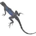 download Az Lizard clipart image with 180 hue color