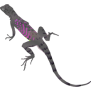 download Az Lizard clipart image with 270 hue color