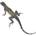 download Az Lizard clipart image with 0 hue color