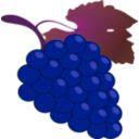 download Grape clipart image with 270 hue color