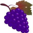 download Grape clipart image with 315 hue color