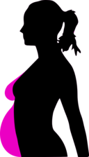 Pregnancy Silhouet