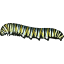 download Caterpillar D Plexippus clipart image with 0 hue color