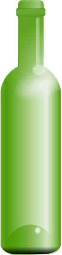 Empty Green Bottle