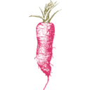 download Half Long Carrot clipart image with 315 hue color